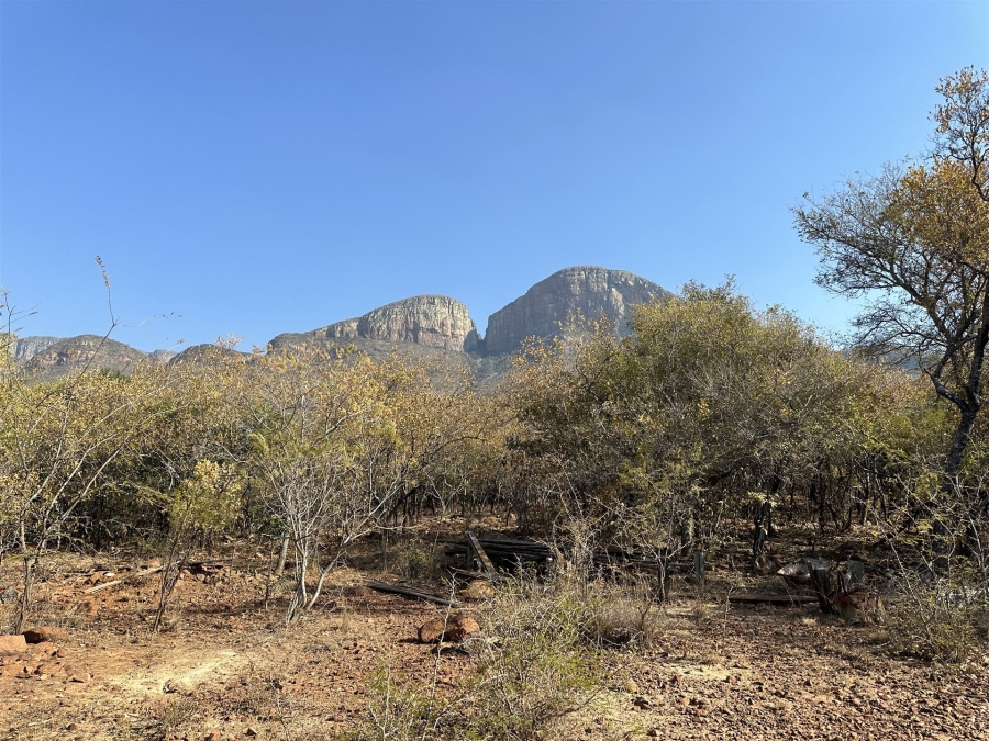 0 Bedroom Property for Sale in Canyon Game Reserve Limpopo