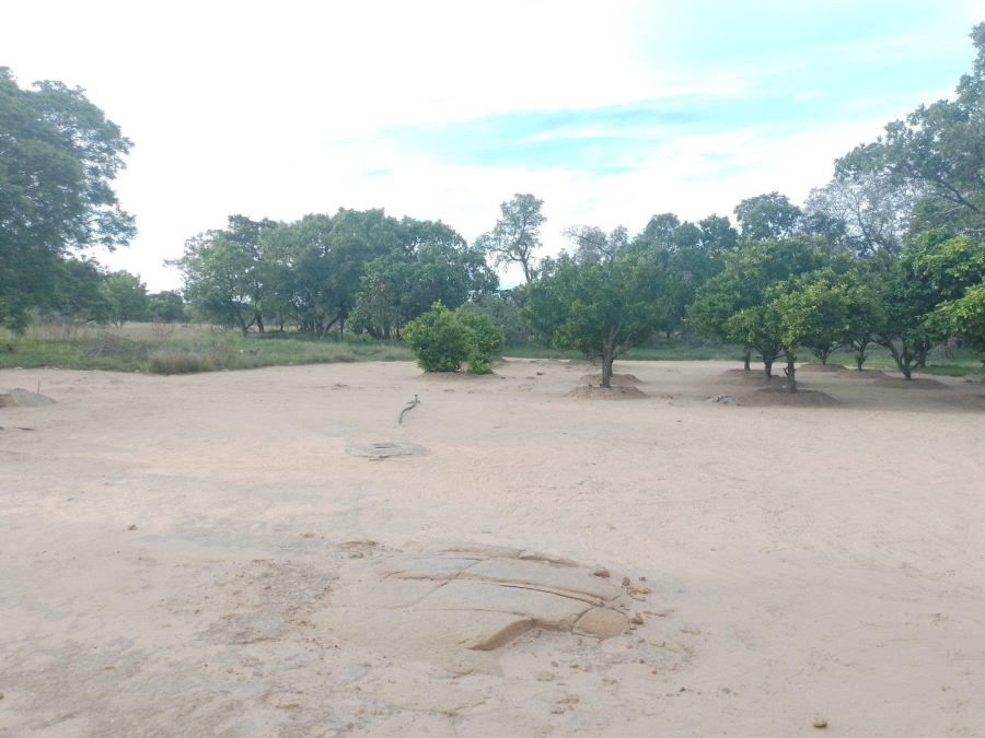 3 Bedroom Property for Sale in Polokwane Rural Limpopo