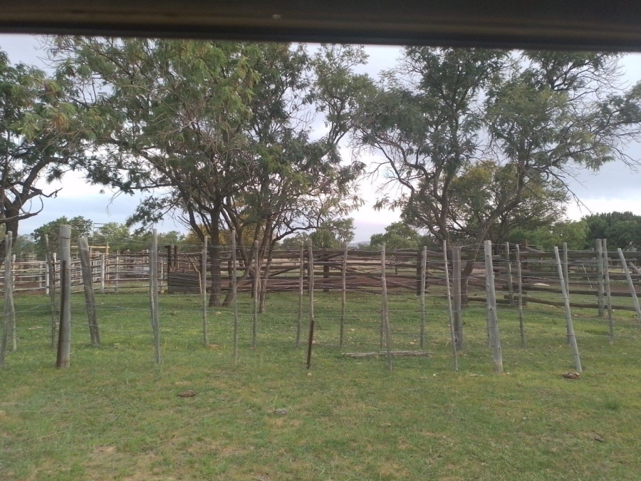 3 Bedroom Property for Sale in Polokwane Rural Limpopo