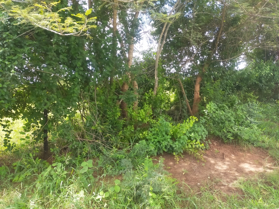 Commercial Property for Sale in Dididi Limpopo