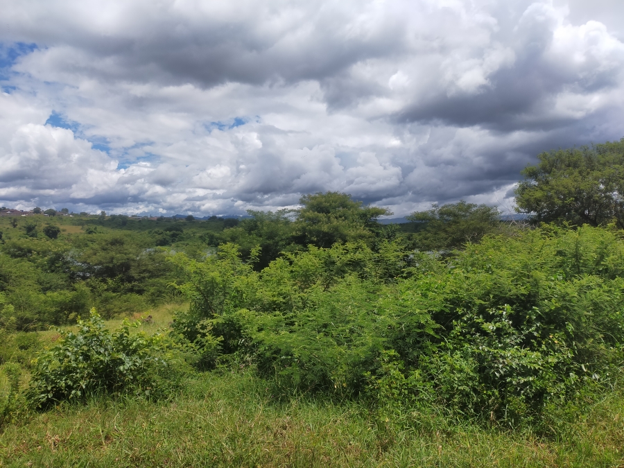 Commercial Property for Sale in Dididi Limpopo