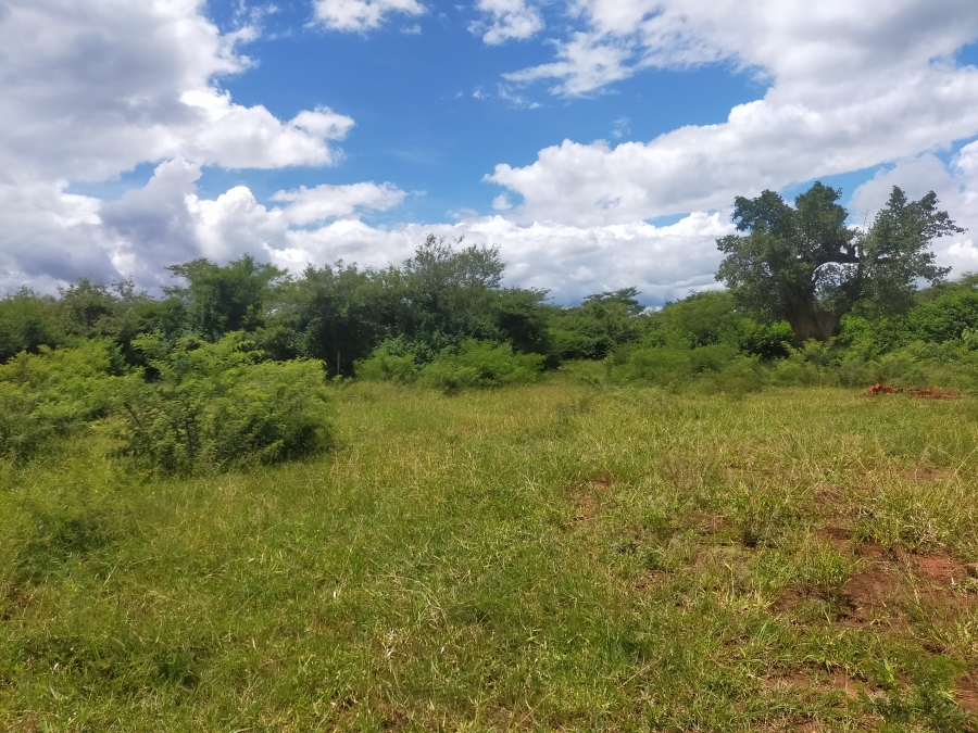 Commercial Property for Sale in Dididi Limpopo