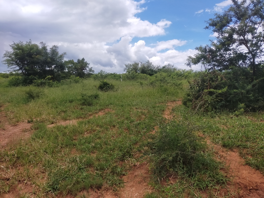 Commercial Property for Sale in Dididi Limpopo