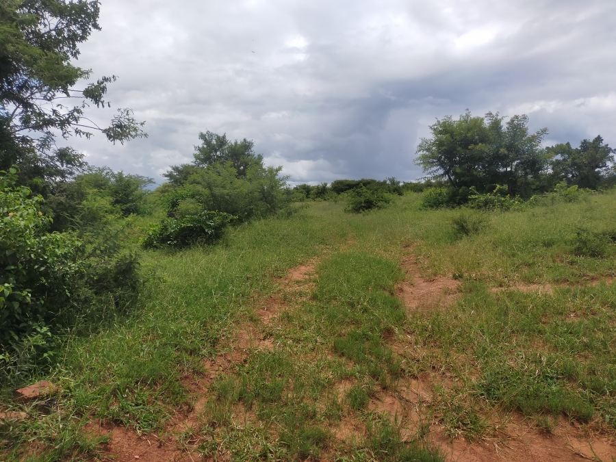 Commercial Property for Sale in Dididi Limpopo