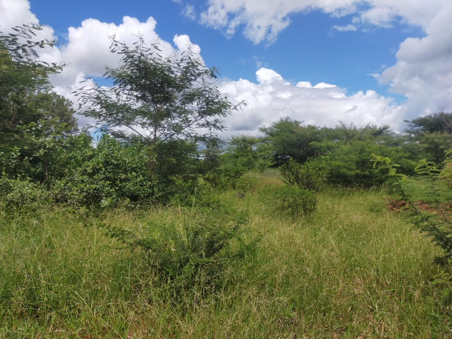 Commercial Property for Sale in Dididi Limpopo