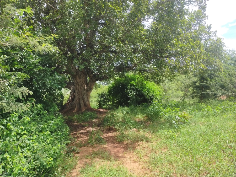 Commercial Property for Sale in Dididi Limpopo