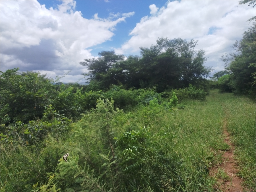 Commercial Property for Sale in Dididi Limpopo