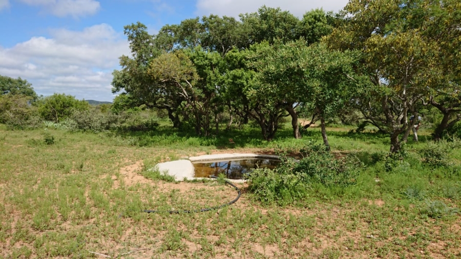 10 Bedroom Property for Sale in Polokwane Central Limpopo