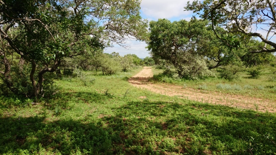 10 Bedroom Property for Sale in Polokwane Central Limpopo