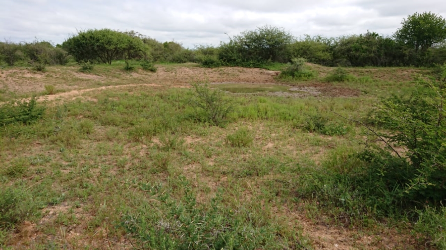 10 Bedroom Property for Sale in Polokwane Central Limpopo