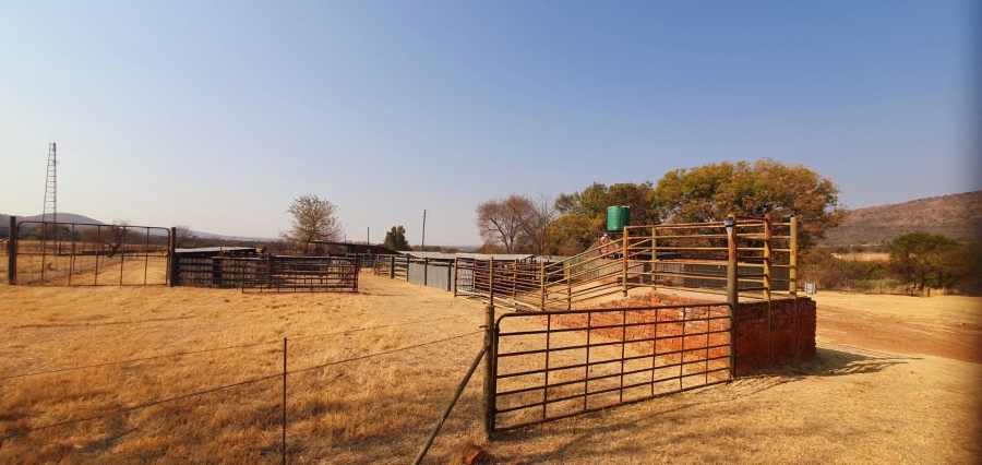 0 Bedroom Property for Sale in Modimolle Limpopo