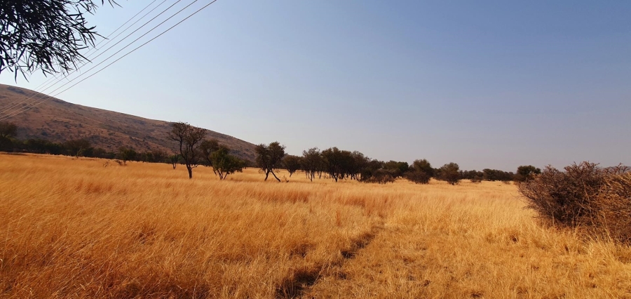 0 Bedroom Property for Sale in Modimolle Limpopo
