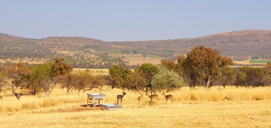 0 Bedroom Property for Sale in Modimolle Limpopo