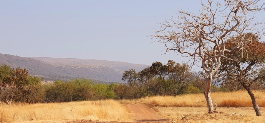 0 Bedroom Property for Sale in Modimolle Limpopo