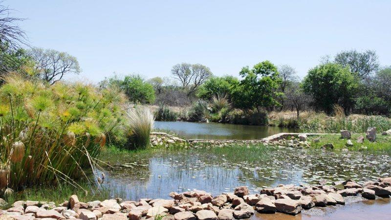 0 Bedroom Property for Sale in Euphoria Golf Estate Limpopo