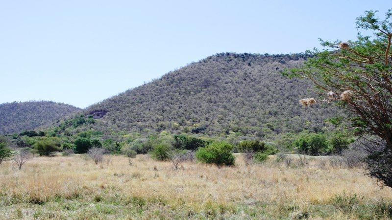0 Bedroom Property for Sale in Euphoria Golf Estate Limpopo