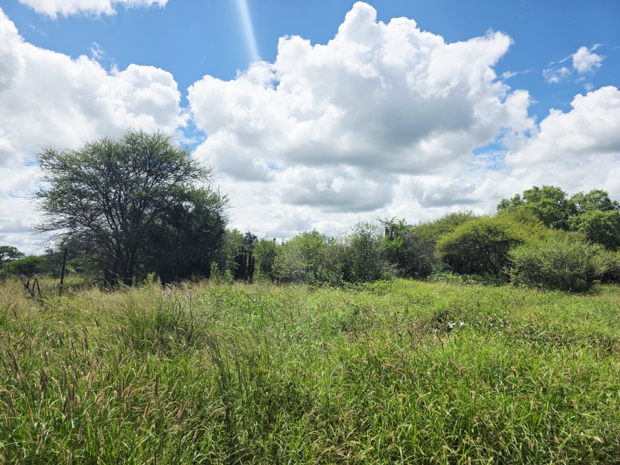 4 Bedroom Property for Sale in Grootvalley AH Limpopo