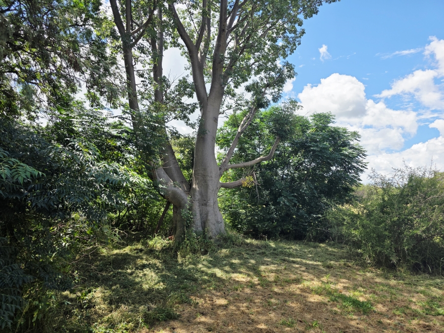 4 Bedroom Property for Sale in Grootvalley AH Limpopo