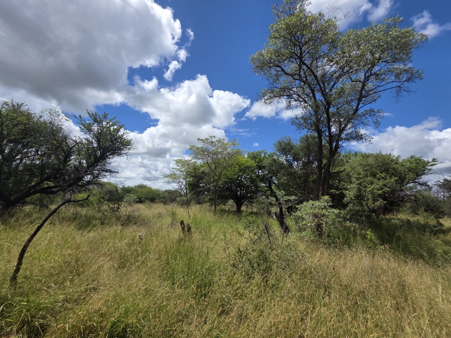 4 Bedroom Property for Sale in Grootvalley AH Limpopo