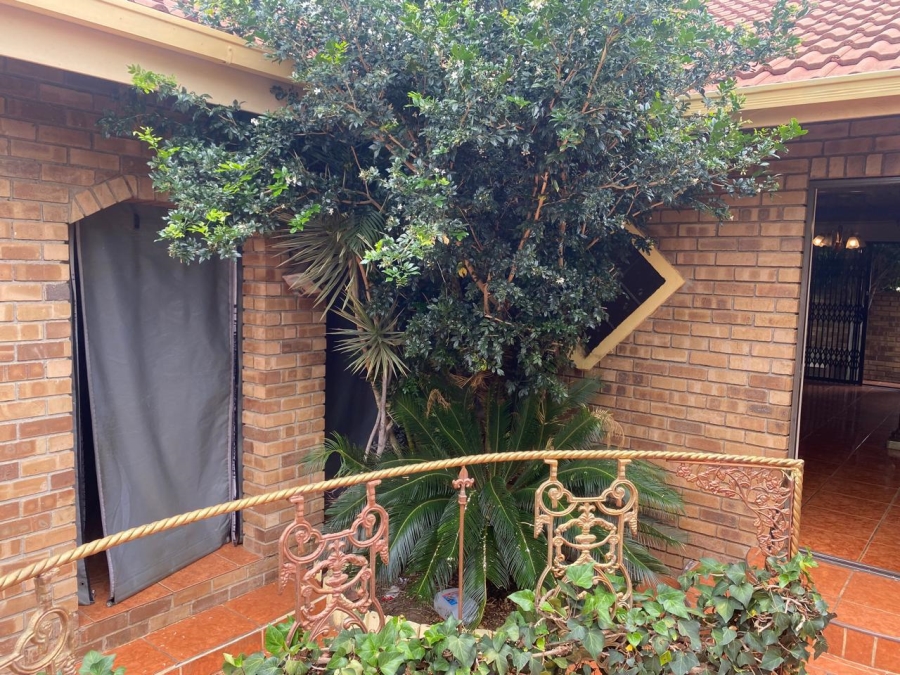 3 Bedroom Property for Sale in Bendor Limpopo