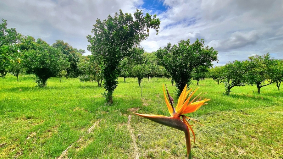 4 Bedroom Property for Sale in Mokopane Rural Limpopo