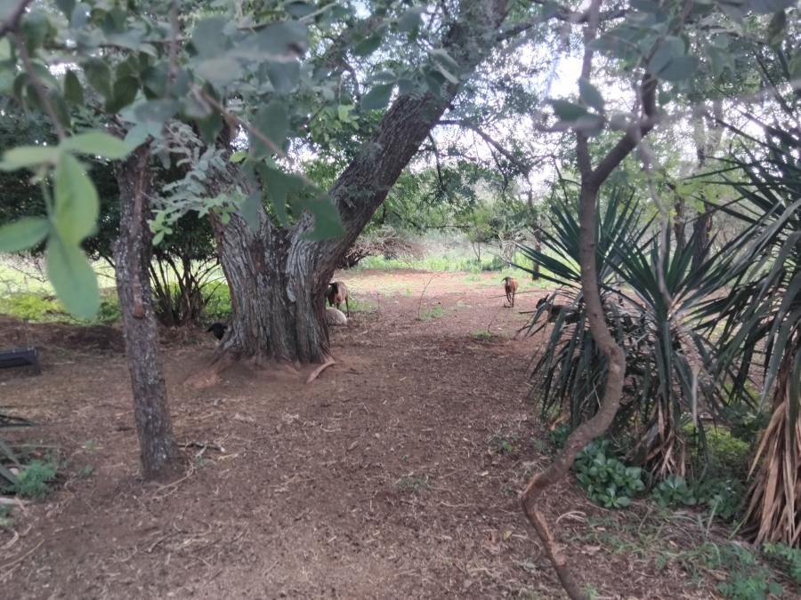 4 Bedroom Property for Sale in Dalmada A H Limpopo