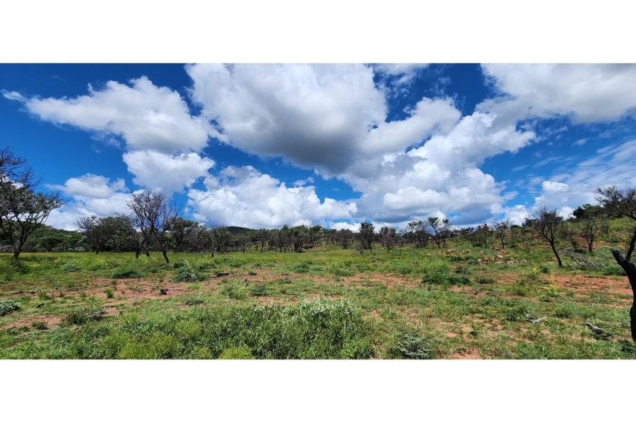 6 Bedroom Property for Sale in Bela Bela Limpopo