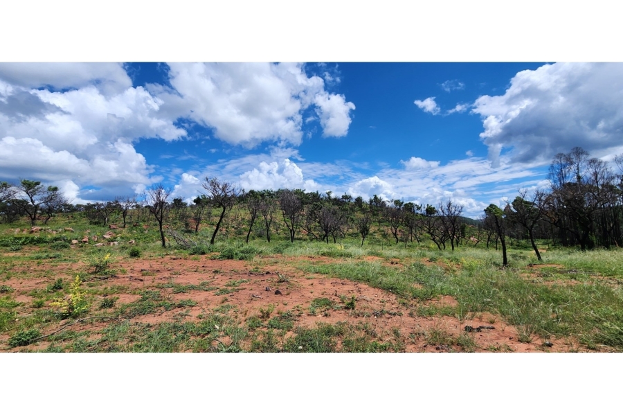 6 Bedroom Property for Sale in Bela Bela Limpopo
