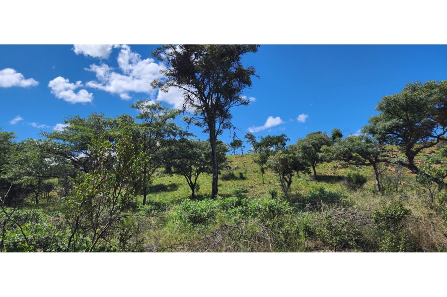 6 Bedroom Property for Sale in Bela Bela Limpopo