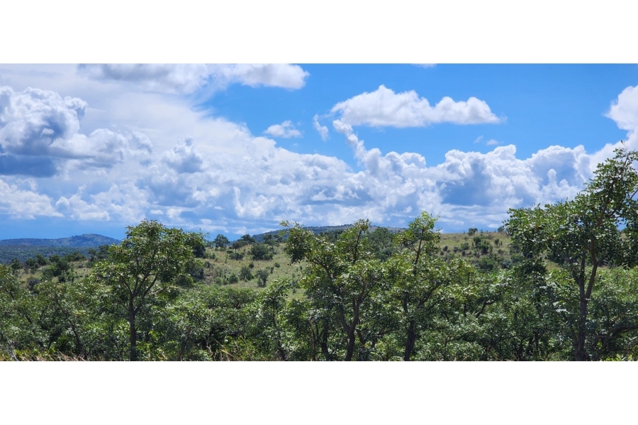 6 Bedroom Property for Sale in Bela Bela Limpopo
