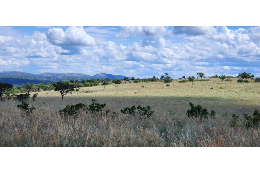 6 Bedroom Property for Sale in Bela Bela Limpopo
