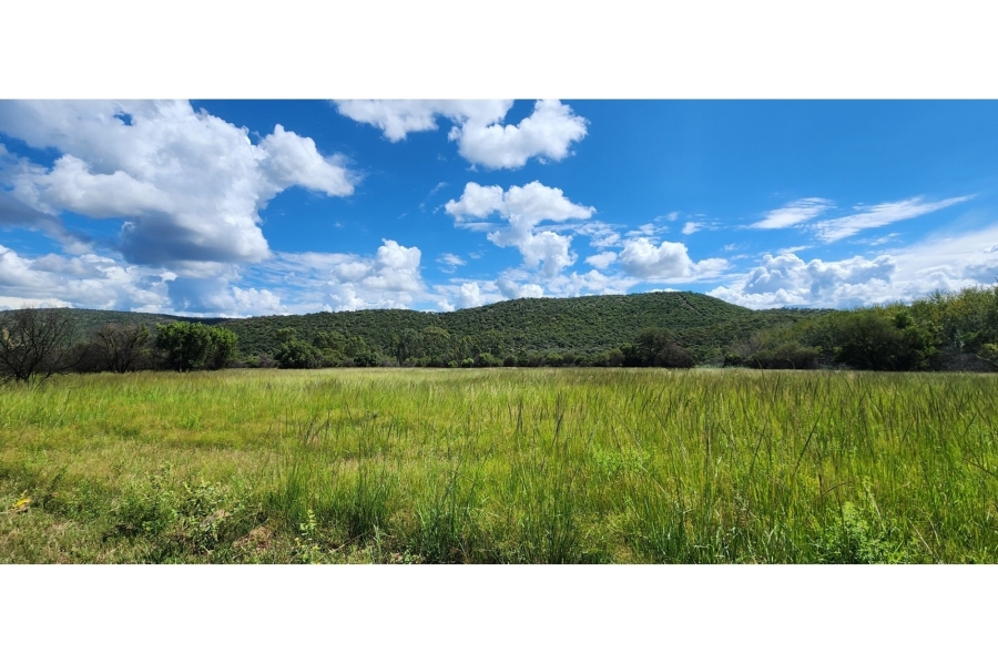 6 Bedroom Property for Sale in Bela Bela Limpopo