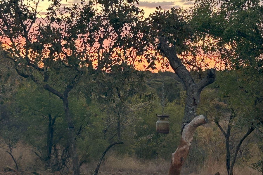 3 Bedroom Property for Sale in Zwartkloof Private Game Reserve Limpopo