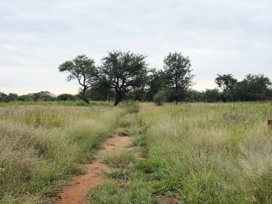 3 Bedroom Property for Sale in Grootvalley AH Limpopo