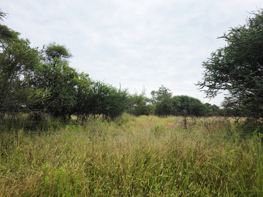 3 Bedroom Property for Sale in Grootvalley AH Limpopo