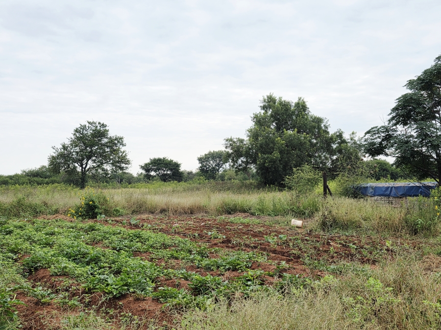 3 Bedroom Property for Sale in Grootvalley AH Limpopo