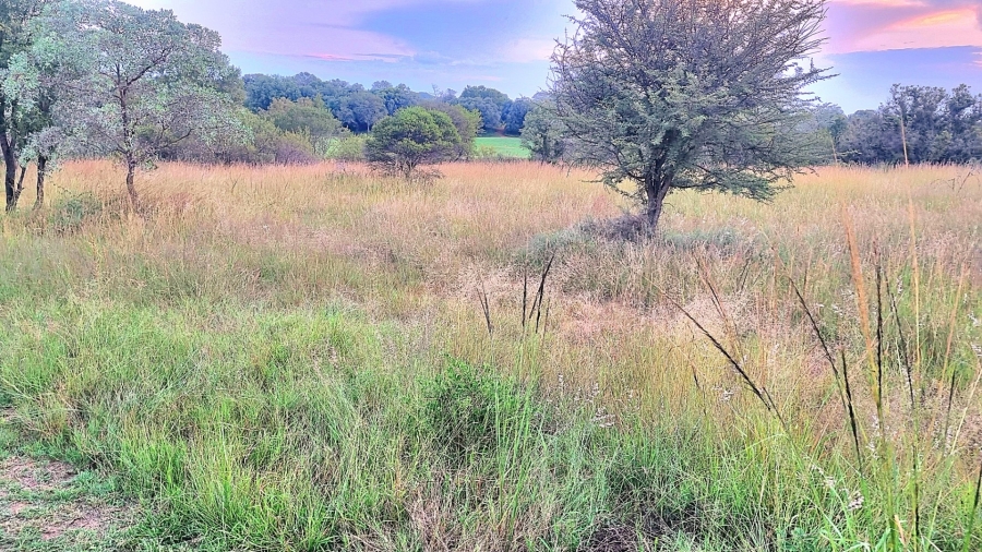 0 Bedroom Property for Sale in Koro Creek Golf Estate Limpopo