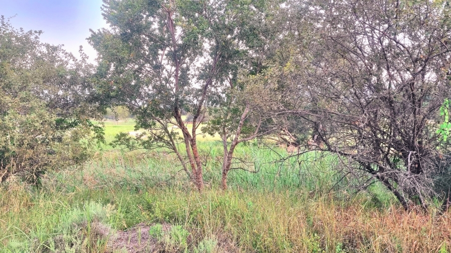 0 Bedroom Property for Sale in Koro Creek Golf Estate Limpopo