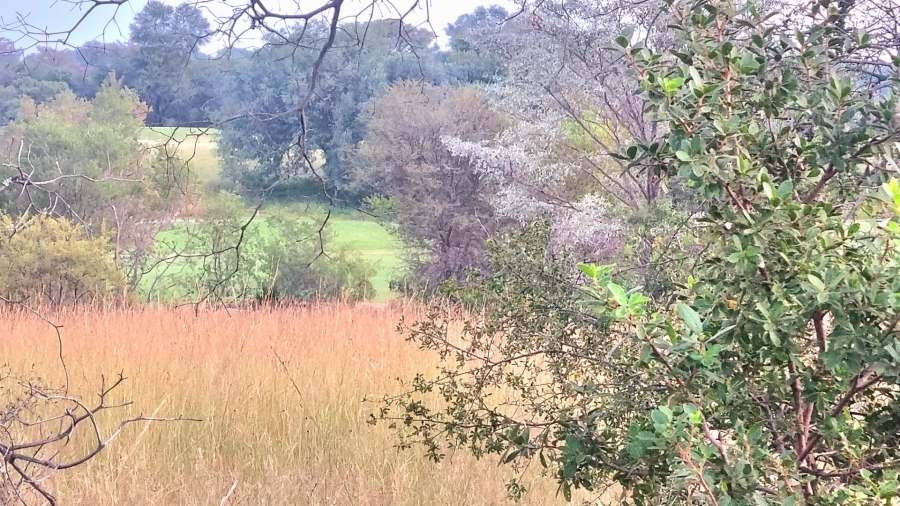 0 Bedroom Property for Sale in Koro Creek Golf Estate Limpopo