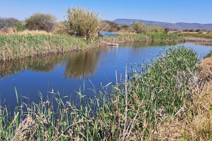 0 Bedroom Property for Sale in Mookgopong Limpopo