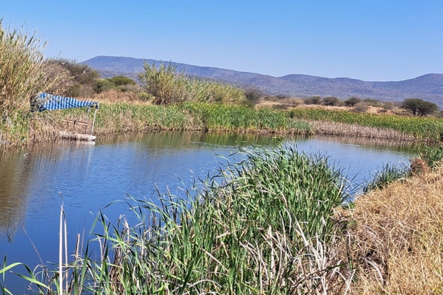 0 Bedroom Property for Sale in Mookgopong Limpopo