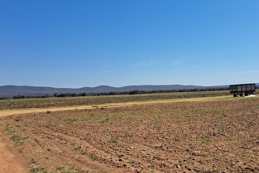 0 Bedroom Property for Sale in Mookgopong Limpopo