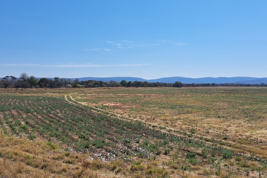 0 Bedroom Property for Sale in Mookgopong Limpopo