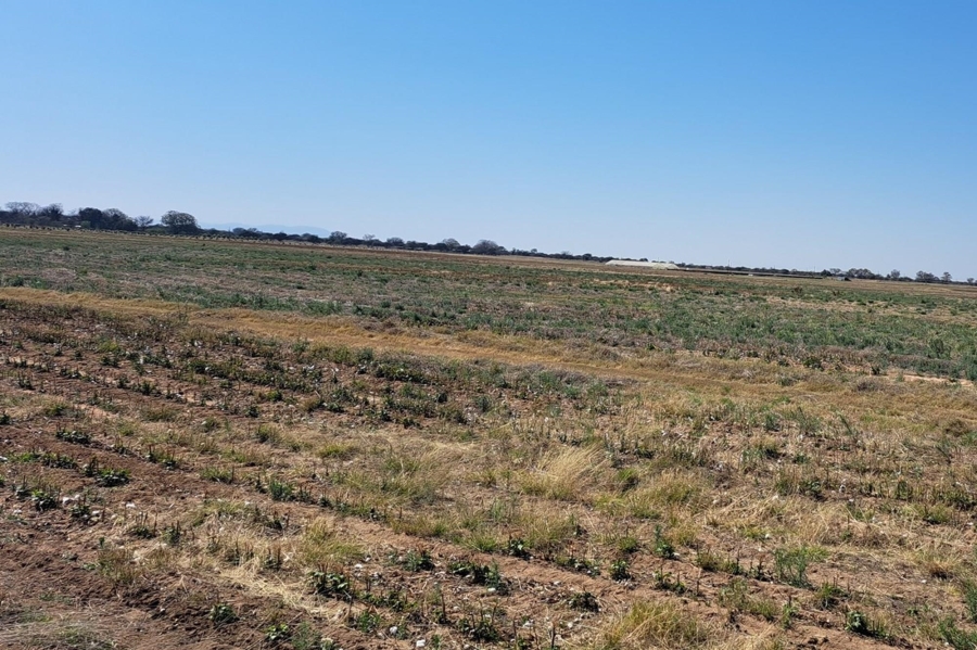 0 Bedroom Property for Sale in Mookgopong Limpopo