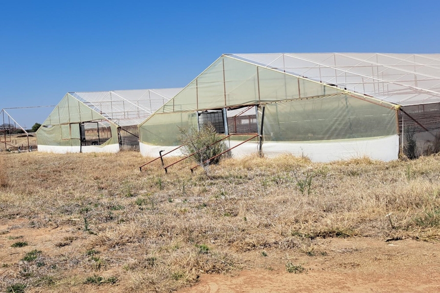 0 Bedroom Property for Sale in Mookgopong Limpopo