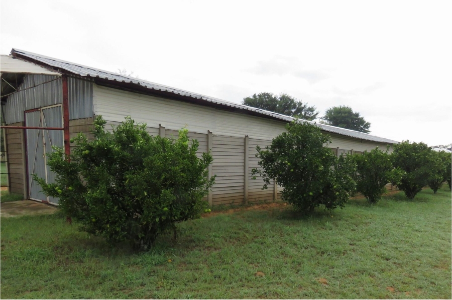 Commercial Property for Sale in Grootvlei Limpopo