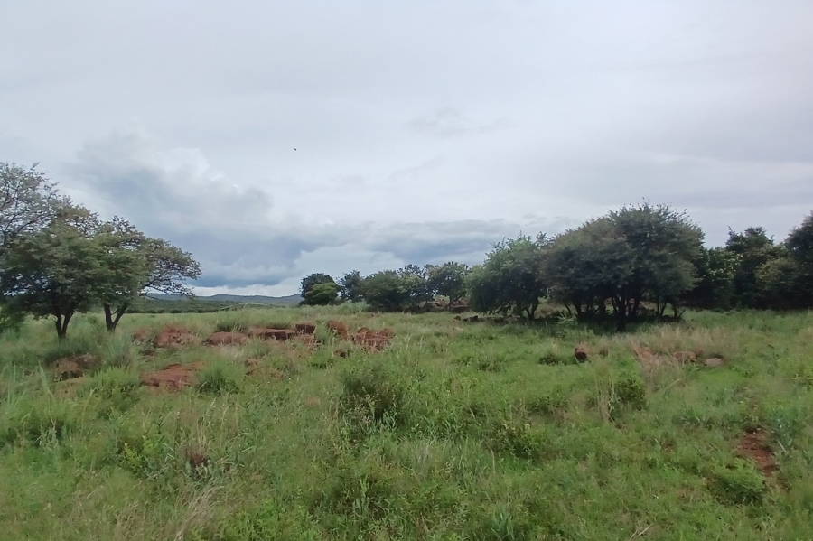 0 Bedroom Property for Sale in Roossenekal Limpopo