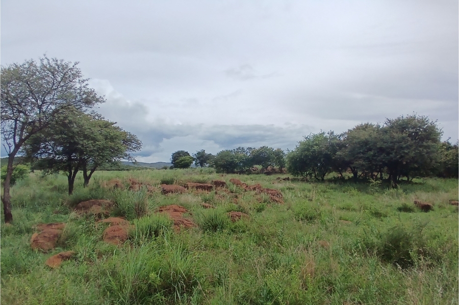 0 Bedroom Property for Sale in Roossenekal Limpopo