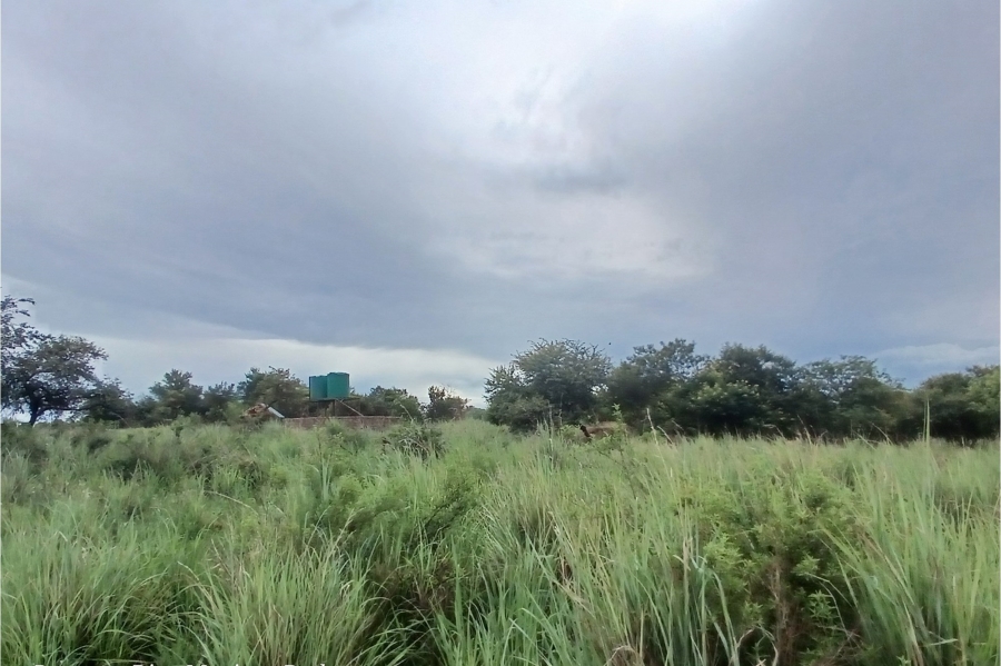 0 Bedroom Property for Sale in Roossenekal Limpopo