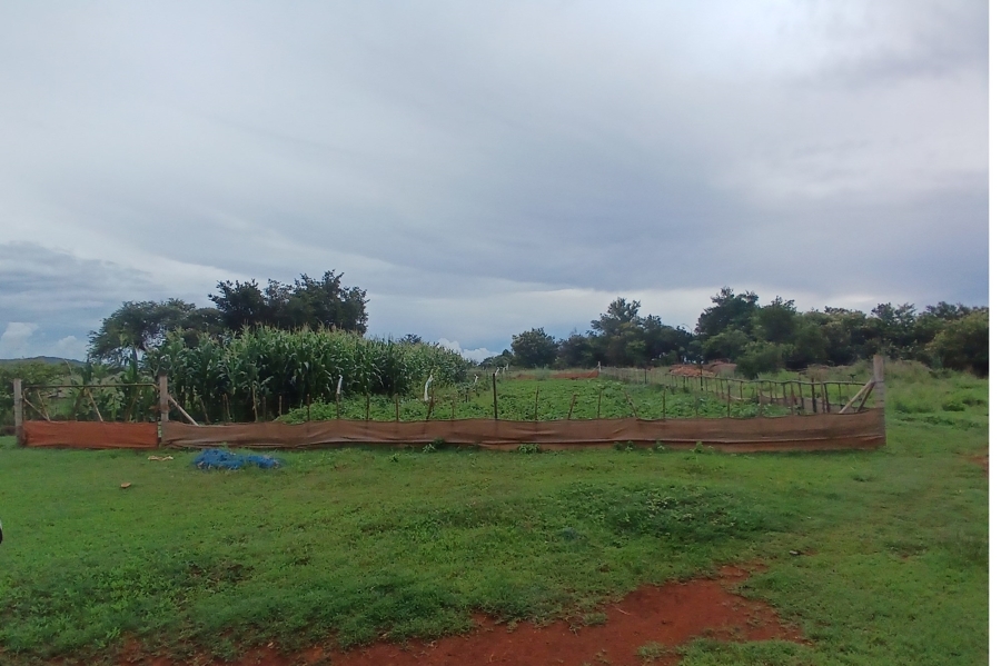 0 Bedroom Property for Sale in Roossenekal Limpopo